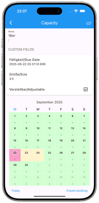 Screenshot: edit capacity