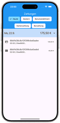 ios_iPhone-16-Pro-Max_light_3-2_payments_framed