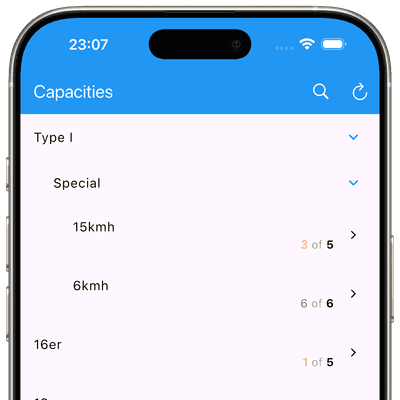 Screenshot: capacities